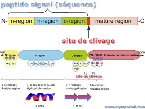 RETA Peptide Buy Guide for Labs: Purity, Specifications, Sourcing & Manufacturing Certification