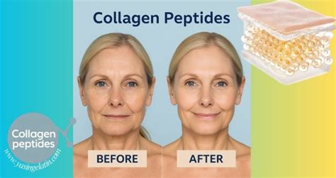 The Make Peptides Guide: Purity, Specifications, Certifications & Manufacturing Sourcing
