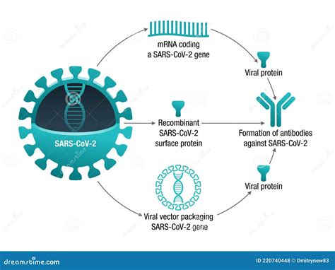The Complete Guide to Sourcing Peptides Distributors: Purity, Certification & Manufacturing Specs