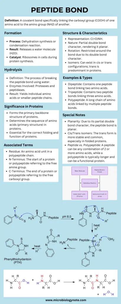 Onyx Research Peptides Technical Deep Dive: Purity, Manufacturing, Sourcing and Certification Standards