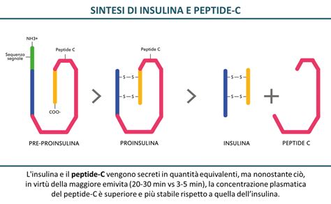 EZ Peptides Purity Specifications and Manufacturing Standards for Lab and Cosmetic Sourcing