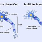The Technical Deep-Dive on Further Food Collagen Peptides Purity, Sourcing, and Manufacturing Specifications