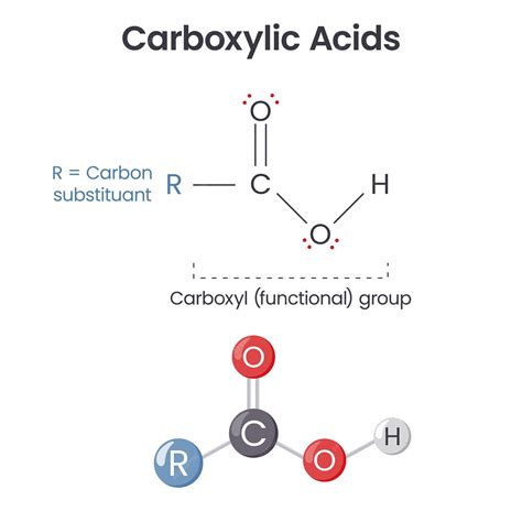 The Ultimate Guide to Peptides Vials Purity Specifications and GMP Certified Manufacturing for Lab and Cosmetic Formulation