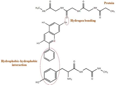 Peptides vs Hyaluronic Acid for Skin: Purity, Specification & Manufacturing Comparison for Cosmetic Formulation