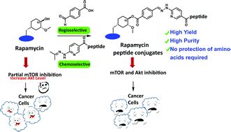 Sourcing High-Purity Peptides from China: Manufacturing, Certification & Specification Guide
