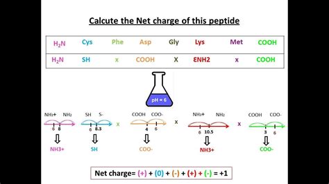 The Ultimate Peptide Man Sourcing Guide: Purity, Manufacturing & Certification Standards
