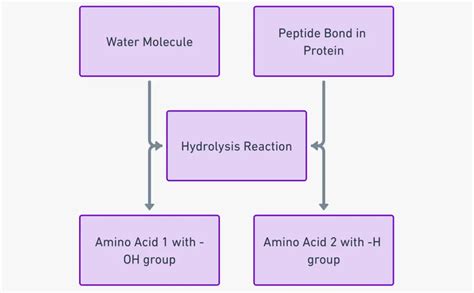 Peptides GG Technical Deep Dive Purity Specifications Manufacturing Sourcing and Certification Guide