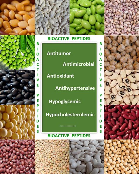 IGF1 Peptide Technical Deep Dive Purity Specifications Manufacturing Sourcing Guide for Labs