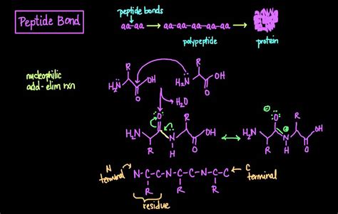 Direct Peptides Sourcing Guide: Purity, Manufacturing Specifications and Certification for Labs