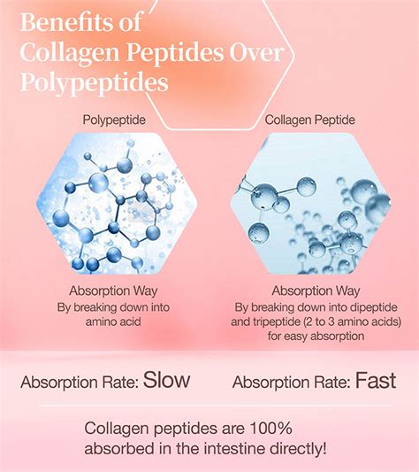The Ultimate Guide to Peptide Powder Purity, Specifications, and Manufacturing for Cosmetic Labs
