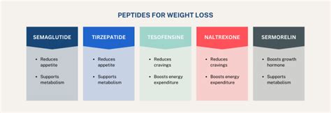 Peptide Nucleic Acids PNA Purity Specifications Sourcing Guide for Lab Formulation Manufacturing