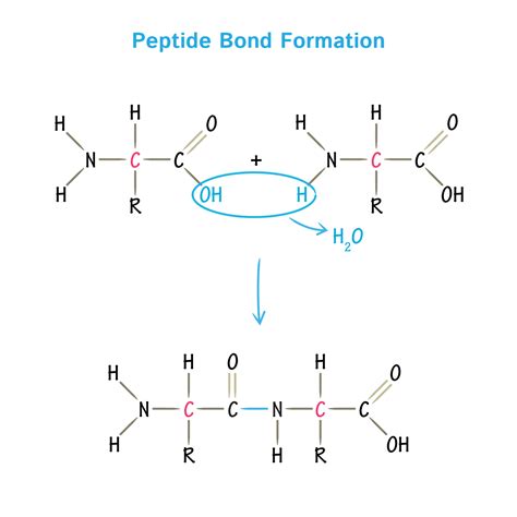 Finnrick Test Reveals 78% of Peptide Brands Fail Purity & Potency Standards