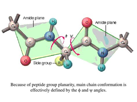 The Ultimate Guide to Sourcing High-Purity Peptides NZ for Lab and Cosmetic Formulation