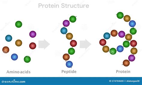 UK Research Peptides: A Technical Deep-Dive on Purity, Manufacturing & Sourcing Standards
