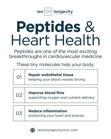 Peptides Underground Sourcing Guide Purity Specifications Manufacturing Certifications for Labs